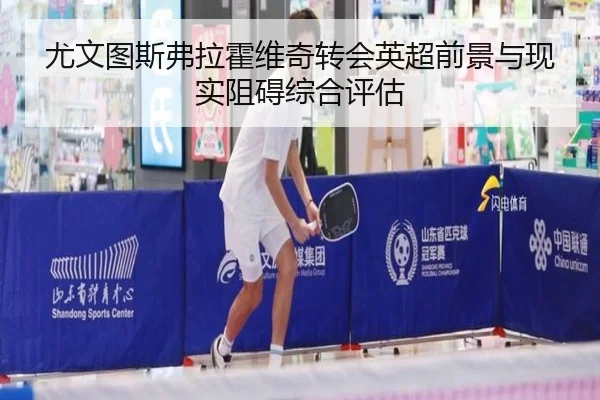 尤文图斯弗拉霍维奇转会英超前景与现实阻碍综合评估
